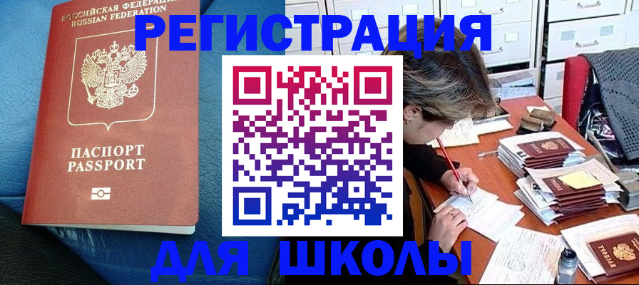 прописка для школы в Мурманской области