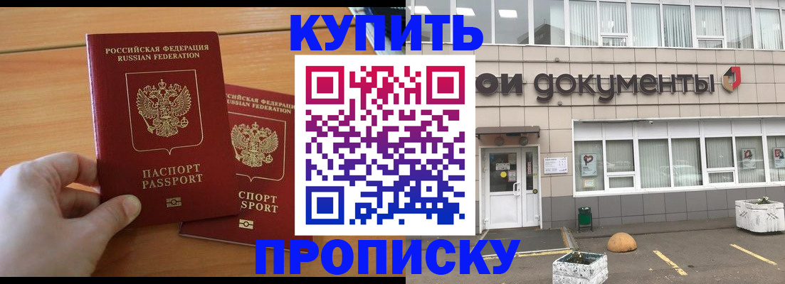 миграционный учет в Мурманской области